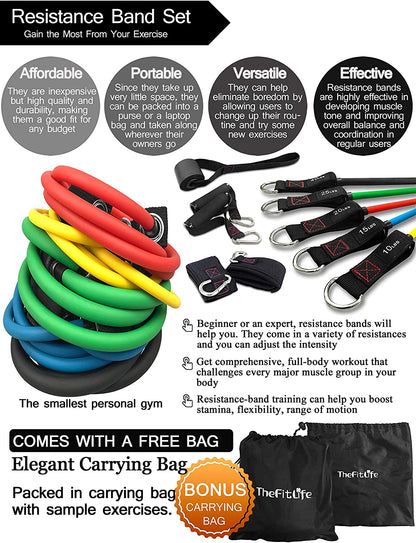 Resistance Bands with Handle Set - for Men and Women, Workout Bands for Strength Exercise, with Handles, Door Anchor & Ankle Straps, for Rehab, Yoga and Fitness