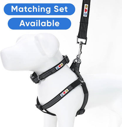 Black Dog Leash 6 Ft XS/S Reflective Durable Lightweight Dog Lead for Small Dogs and Puppies